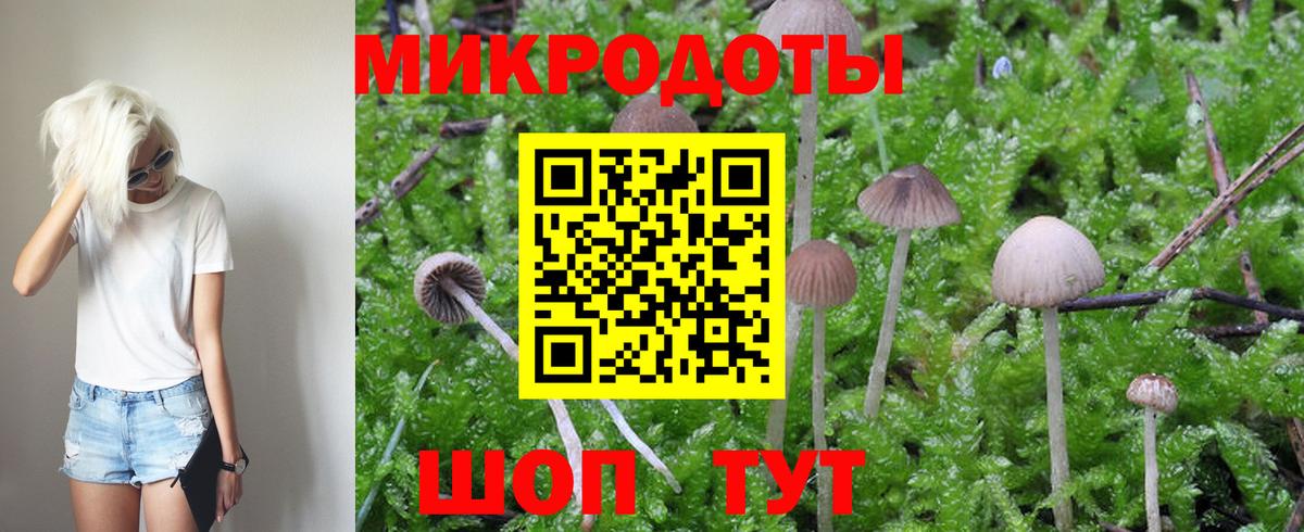 Псилоцибиновые грибы MAGIC MUSHROOMS  Вход с VPN  Шали  Галлюциногенные грибы Cubensis 