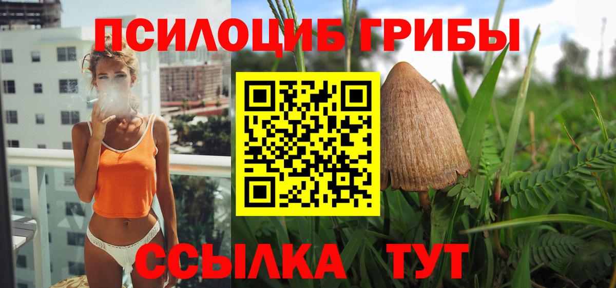 Псилоцибиновые грибы мухоморы Шали