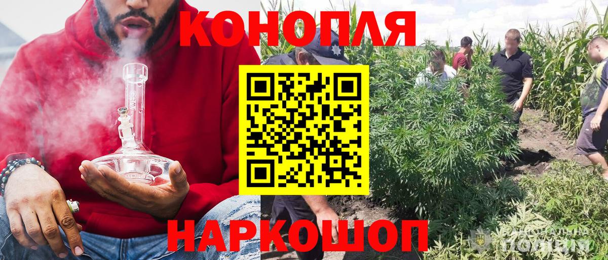 Марихуана конопля  Вход с VPN  Шишки марихуана Amnesia  Шали 